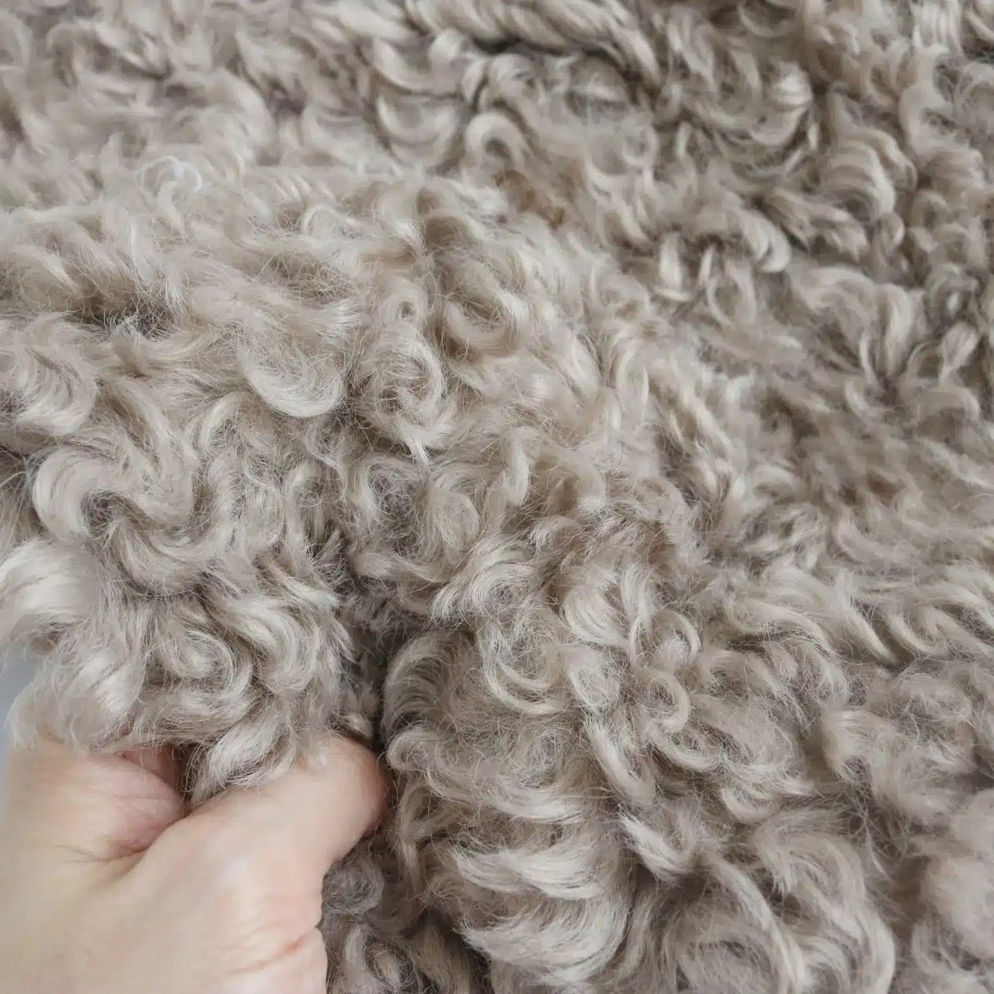Curly Teddy Bear Fur Fabric B22