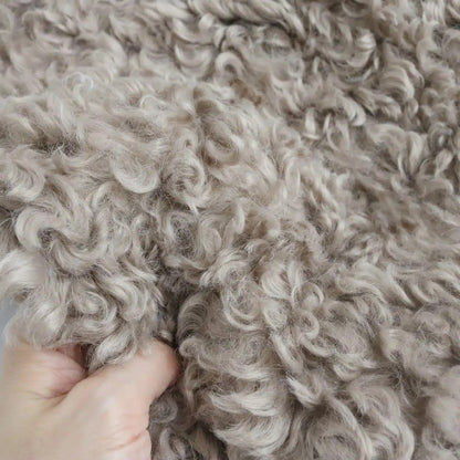 Curly Teddy Bear Fur Fabric B22