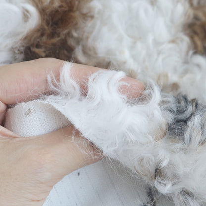 Curly Faux Fur Calico/Cow Print B33