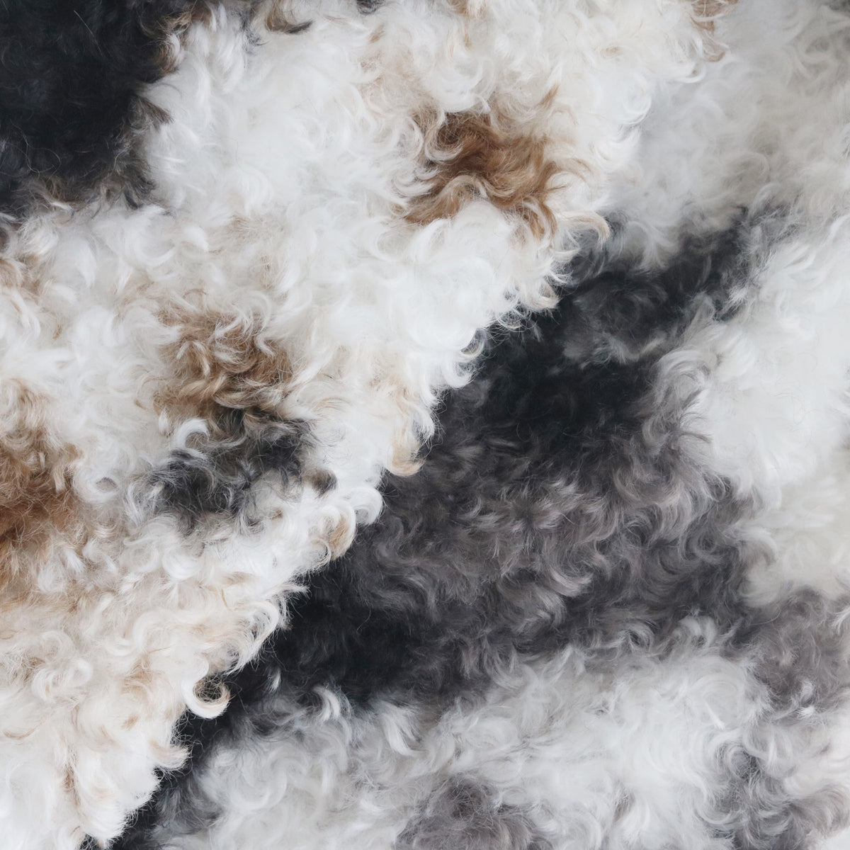 Curly Faux Fur Calico/Cow Print B33