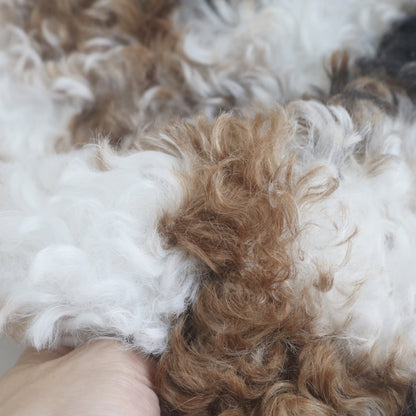 Curly Faux Fur Calico/Cow Print B33