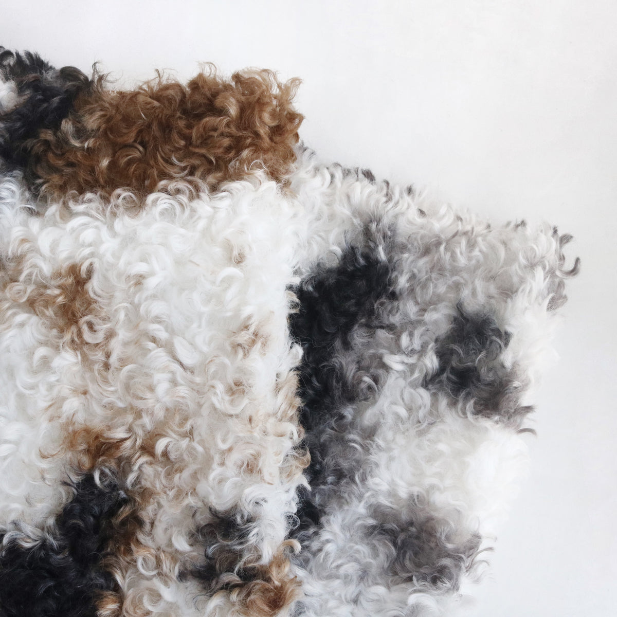 Curly Faux Fur Calico/Cow Print B33