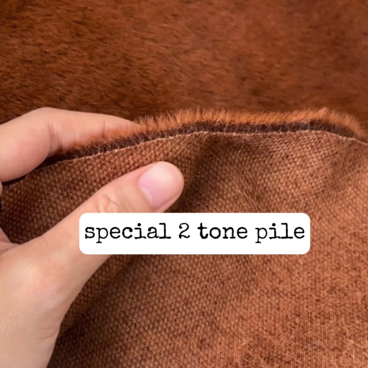 Last Piece- 2 tone Pile Teddy Bear Fur Fabric C13