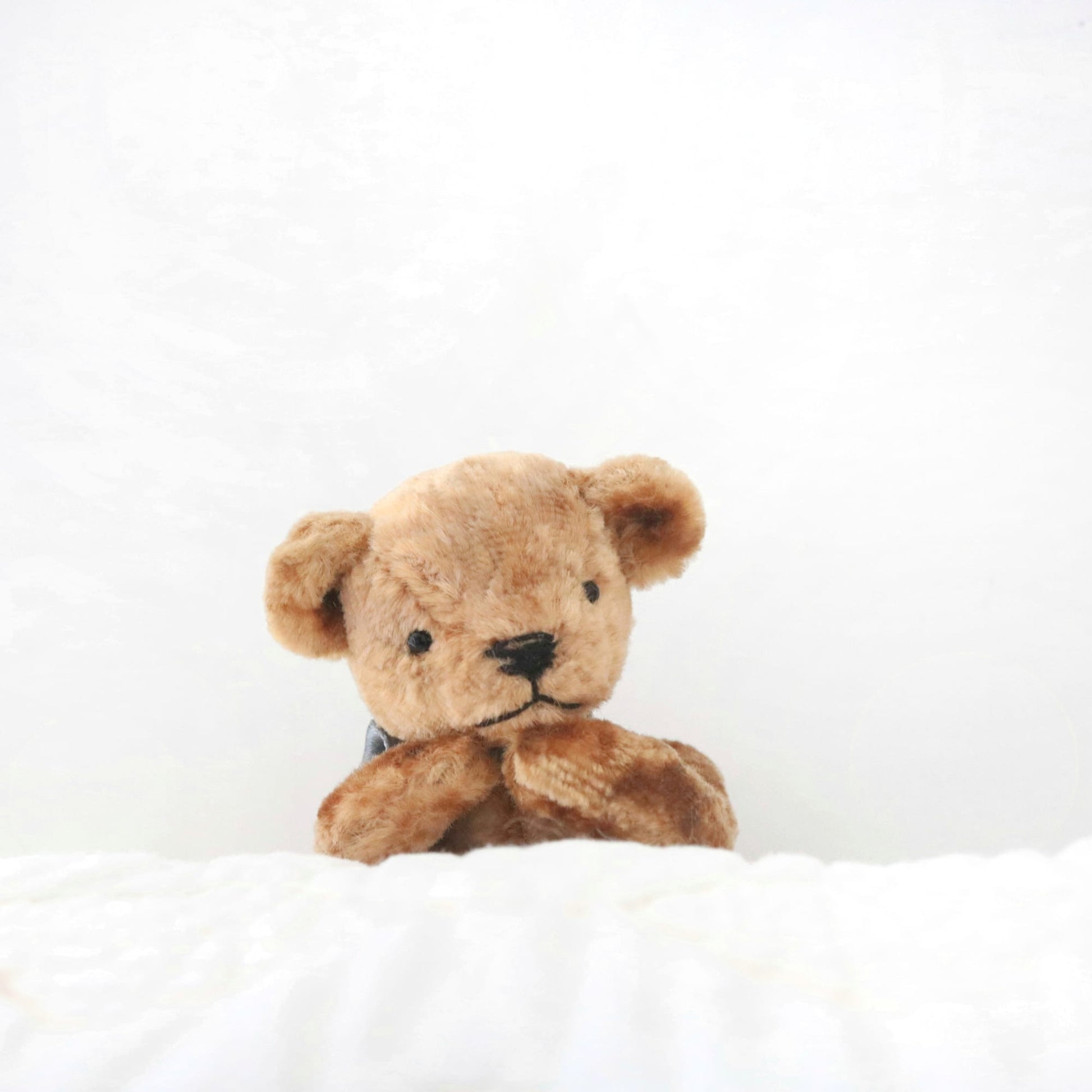 artist bear sew pattern