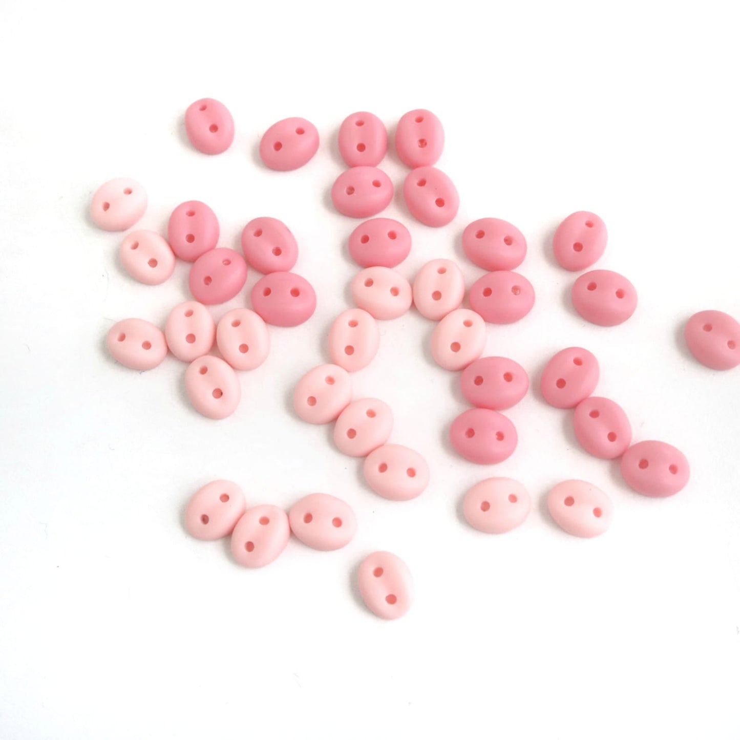 mini pig nose accessories