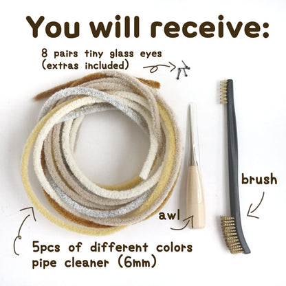 Pipe Cleaner Craft Kit