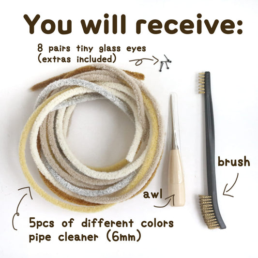 Pipe Cleaner Craft Kit