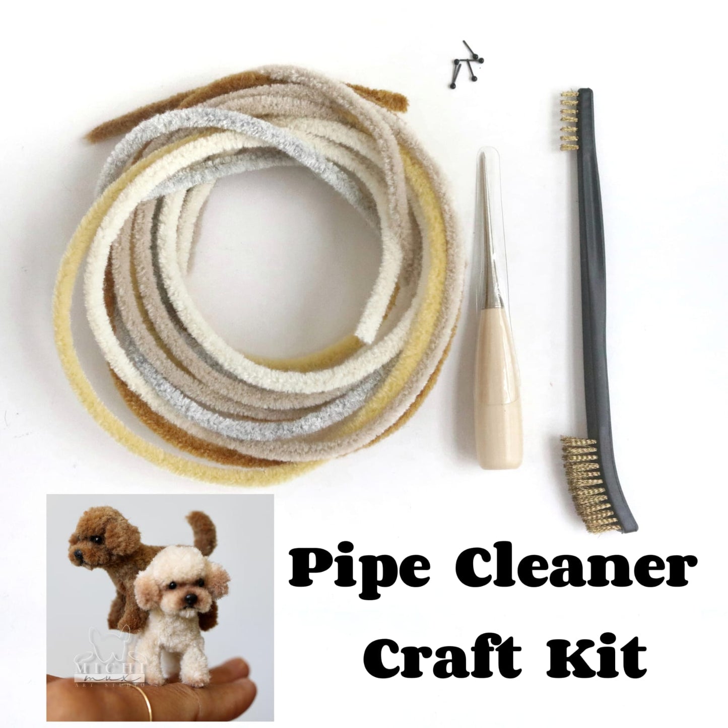 Pipe Cleaner Craft Kit