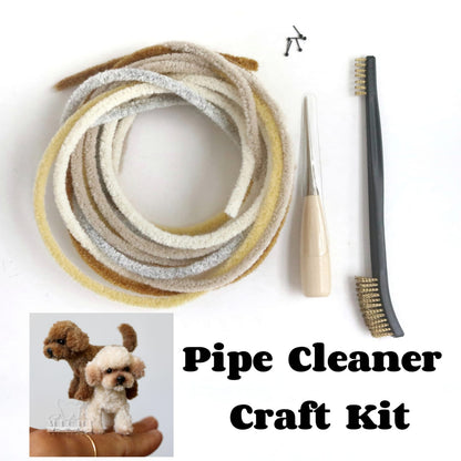 Pipe Cleaner Craft Kit