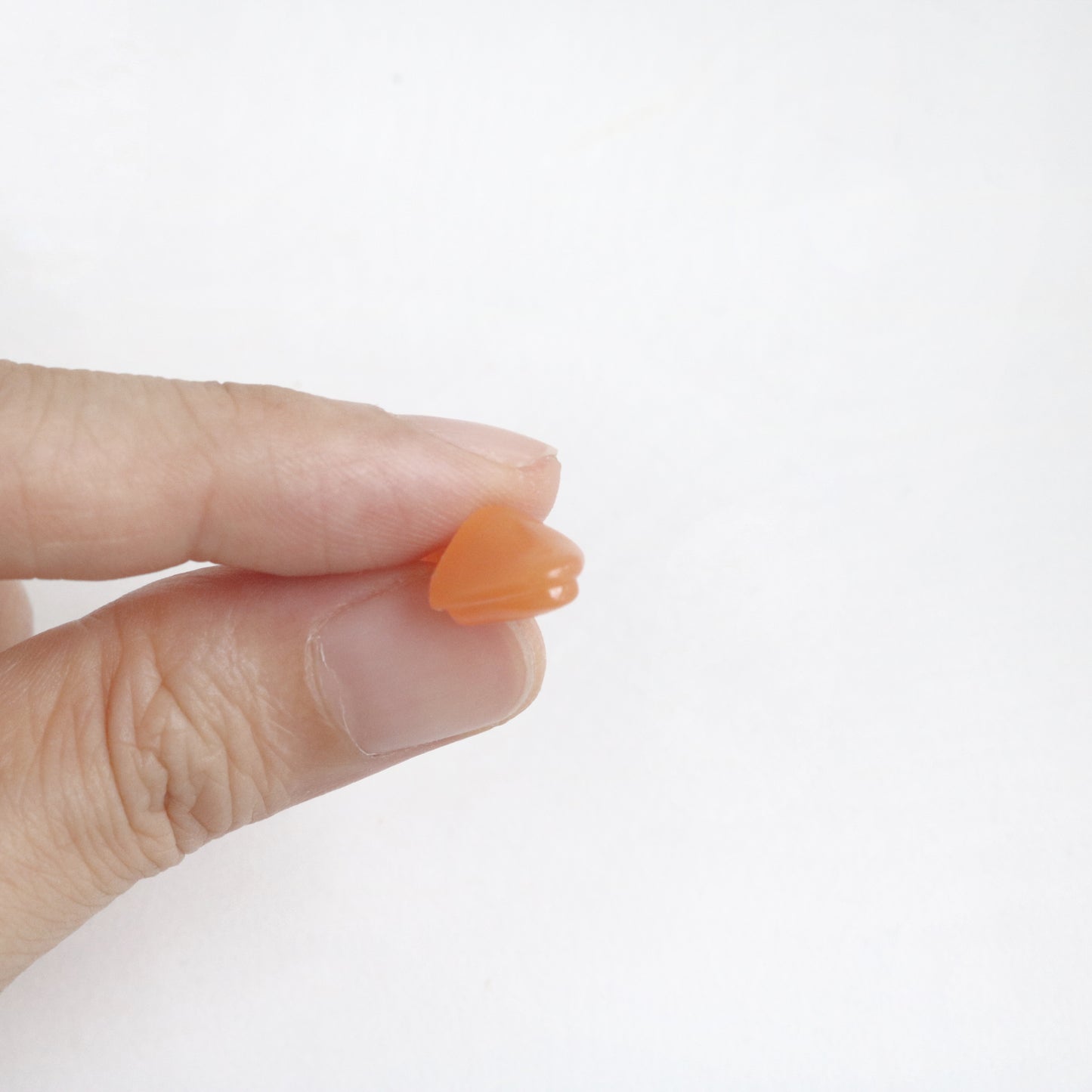 10pcs Chicken / Bird Beak