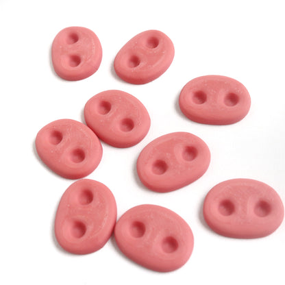 5pcs Flat Back Pig Nose