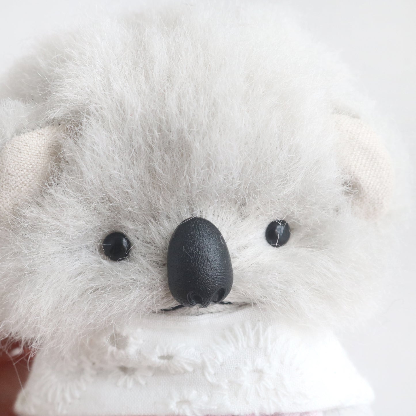 5pcs Mini Koala Nose