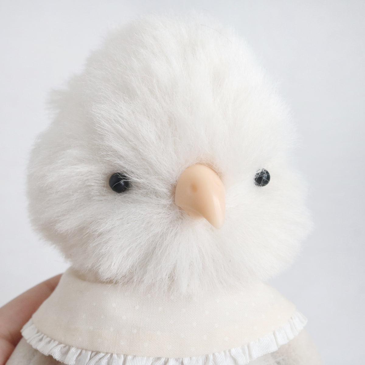 5pcs Safety Bird Beak